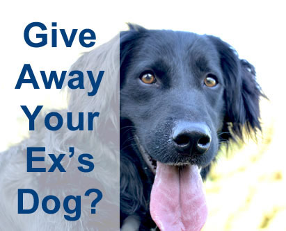 A man was charged with Domestic Violence-related Theft for giving away his ex-girlfriend’s dog. If you have been charged, contact us for a FREE consult!