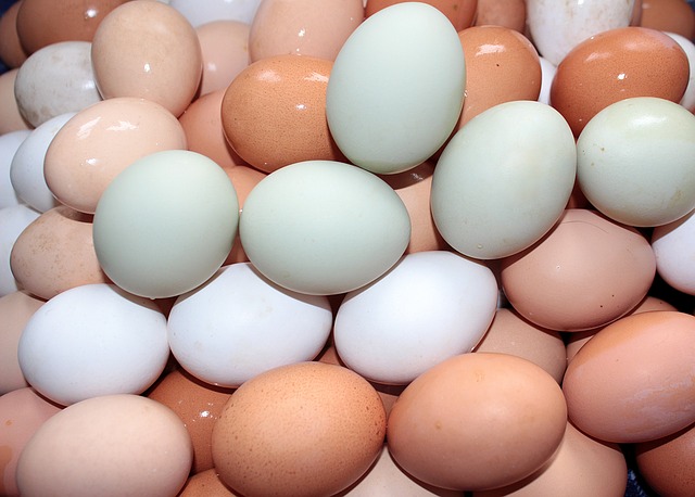 A man was arrested for Criminal Mischief after throwing eggs at his elderly neighbor's house over 100 times. Read more about this story here.