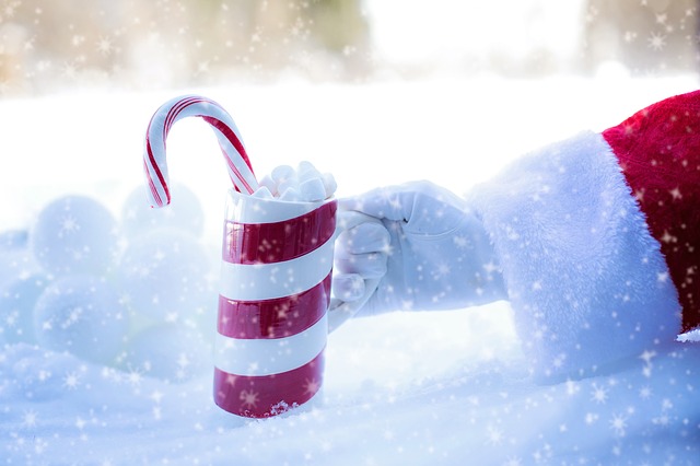 A man dressed as Santa to hand out candy canes and commit a Robbery of a bank. Click to read more about this story.