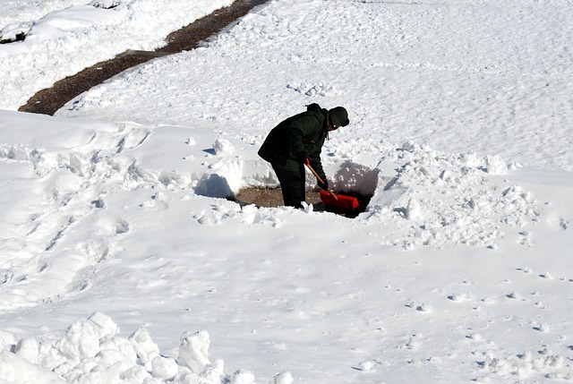 A groups of teens may be facing Third Degree Assault charges after hitting a man with a piece of wood when he refused their help with snow shoveling.