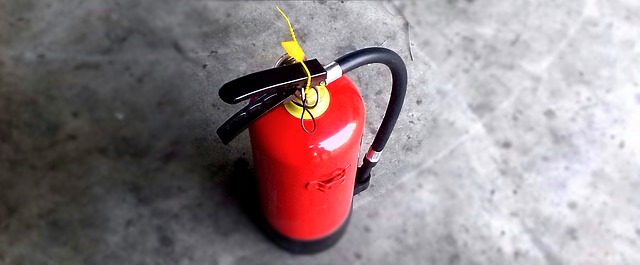 Two boys are facing multiple charges including Harassment for spraying various business employee with fire extinguishers. Read more about this story here.