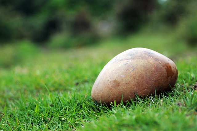 Did you know that throwing a rock at a car is a crime, even if it doesn't cause any damage? It is charged as Throwing Missiles at a Vehicle.