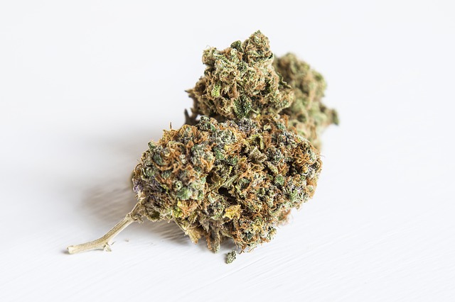 A bill has passed that would allow defendants to be able to use medical marijuana while on bond. Read more about this new bill and standard bond conditions.