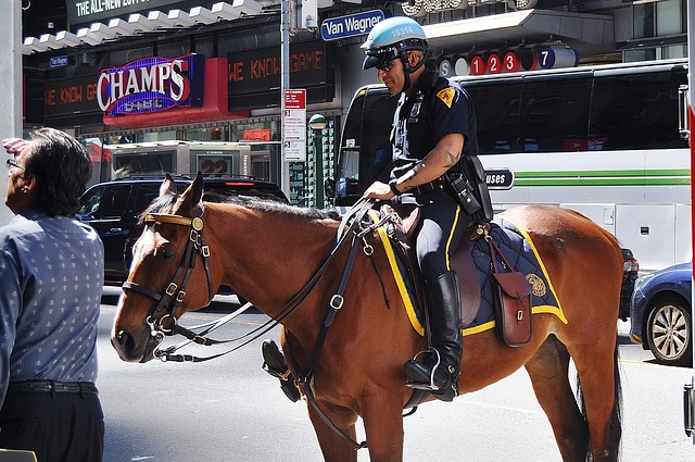 A man was charged with Cruelty to Animals after trying to punch a police horse in the face.