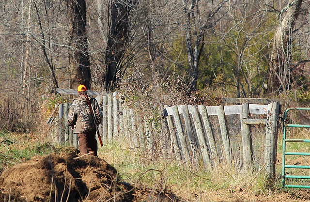 Facing a Hunting Without a Valid or Proper License charge in Greeley? Call 970-616-6009 to speak with one of our criminal defense lawyers.